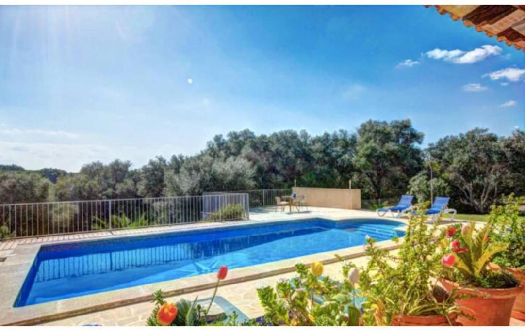 Villa Rito Nou Felanitx Exteriér fotografie